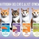 Cat Nutritional Needs by Age