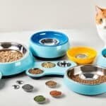 Cat Feeding and Watering Supplies